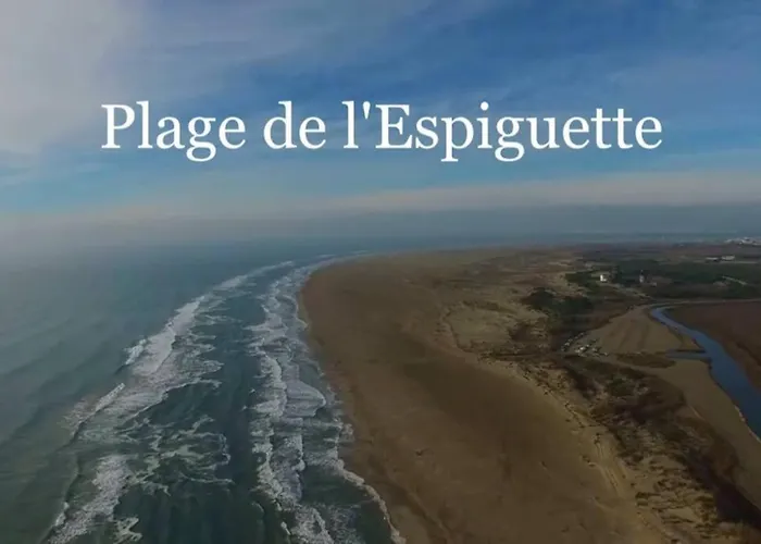 Grand studio au Grau-du-Roi proche Seaquarium et plage