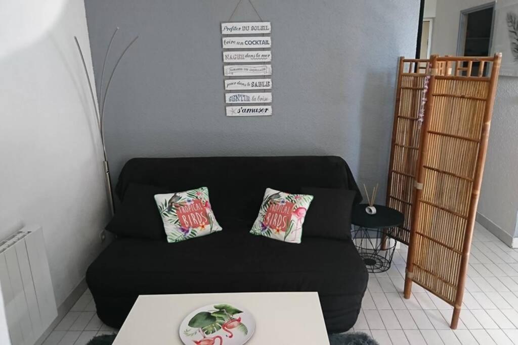 Grand Au Grau-du-roi Proche Seaquarium Et Appartement